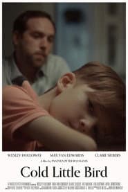 Cold Little Bird poster