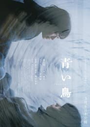 青い鳥 poster