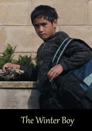 The Winter Boy poster