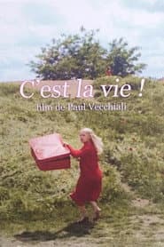 C'est la vie ! poster