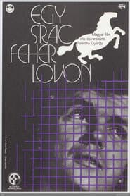 A Lad on White Horse poster