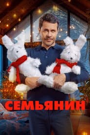 The Family Man poster