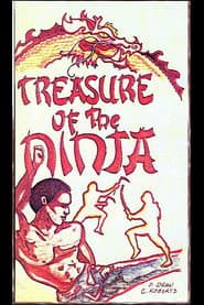 Treasure of the Ninja poster