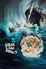 Gray Lady Down poster