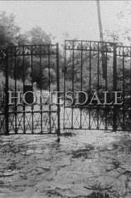 Homesdale poster