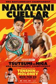 PRIME VIDEO BOXING 11 poster