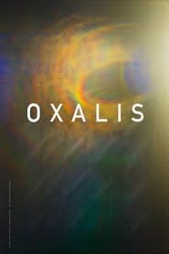Oxalis poster