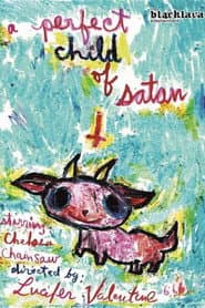 A Perfect Child Of Satan poster