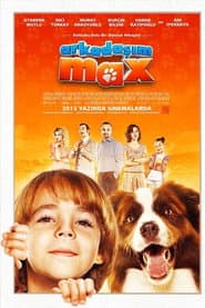Arkadaşım Max poster
