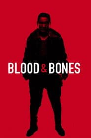 Blood and Bones poster