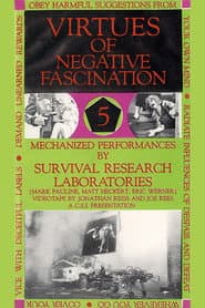 Virtues Of Negative Fascination poster