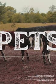 Pets poster